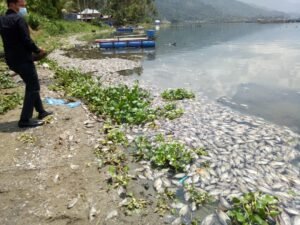 Bujang Sembilan Danau Maninjau Meraung?, Mana Janji Mu?