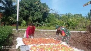 Babinsa 04/Sikakap Ajak Masyarak Belum Ada Pekerjaan Tetap, Agar Inovatif