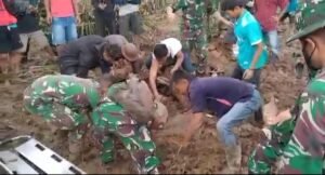 6 Diduga Terseret Galodo, di Tigo Nagari, 1 Ditemukan, Lainnya Dicari