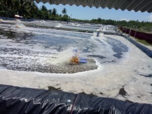 Bupati Agam Tidak Mau Jelaskan Kehadiran Tambak Udang di Tj. Mutiara