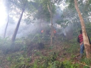 BPBD, Damkar, Pol PP Agam Padamkan Api Membakar Bukik Aia Gambua