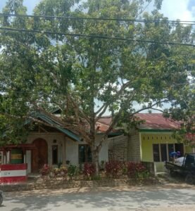 Dua Hari Setelah Masuk Puasa, Solok Selatan Diguyur Hujan