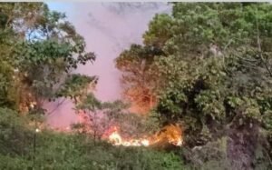 Kebakaran Hutan dan Lahan di Mentawai Berhasil Dipadamkan Tim