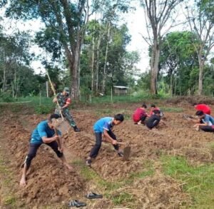 Babinsa Sipora Jaya Sp1, Serda Chairul Olah Lahan Kosong Tambahan Ekonomi