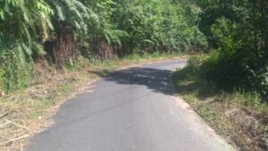 Semak Jalan Pemuda-Batu Kambing Sudah Ditebas, Perjalanan Sudah Aman