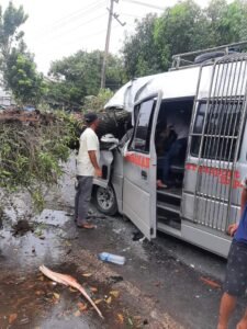 Jurnalis Pasbar Kumpulkan Donasi Pangkas Pohon Pelindung Lapuk