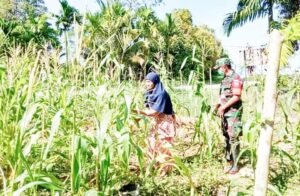 Babinsa Koramil 01 Sikabaluan Ajak Masyarskat Mafaatkan Lahan Pekarangan