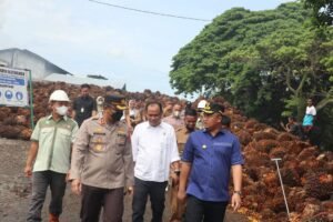 Sikapi Anjlok Harga TBS, Bupati Dharmasraya  Sidak ke Pabrik Sawit