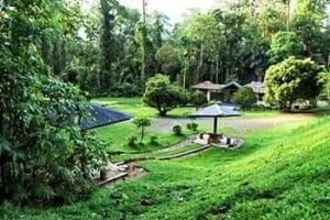 Objek Wisata Cagar Alam Rimbo Panti Dibuka Kembali, Setelah 2 Tahun Tutup