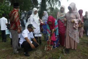 TP PKK Pasbar Gelar Aksi Tanam Pohon Pinus di Wisata Suak Alam Indah