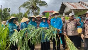 Tim Penilai Provinsi Sumbar, Nilai PKK  Nagari Kinali