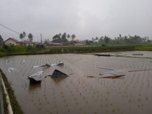 Koto Tangah Dihantam Angin Puting Beliung, Atap Rumah Terbang Masuk Sawah
