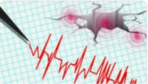 Gempa Bumi Tektonik Guncang Kota Bukittinggi, Belum Ada Laporan Kerusakan