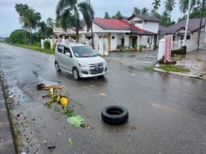 Pohon Pisang Ditanam di Jalan Raya Dekat Hotel Permata Bunda Tumbang