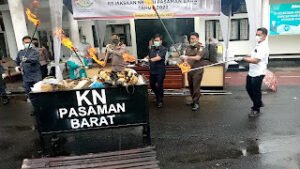 Kejaksaan Negeri Pasbar Musnahkan Puluhan KG Narkotika