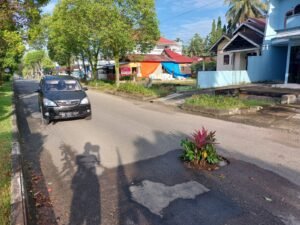 Pisang Tumbang di Permata Bunda, Bunga Ditanam di Jalan Lp. Talang