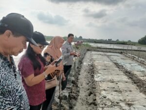Meningkatkan Produksi Pangan Strategis Untuk Mengendalikan Inflasi