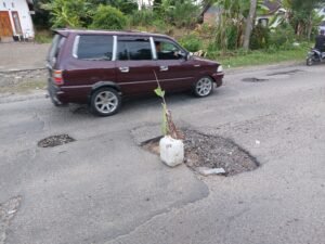Jalan Diponegoro Rusak Lagi, Warga Tanam Pisang Hindari Lakalantas