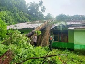 Hujan Lebat, Angin Kencang, SD Negeri 10 Batang Gasan Ditimpa Pohon