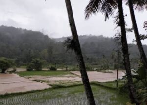 Nagari Nan Tujuah, Kecamatan Palupuh Juga Tidak Luput Didera Bencana