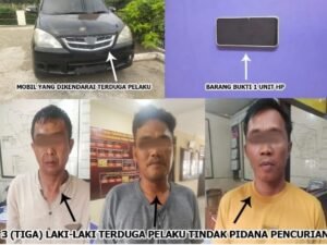 Pelaku Pencurian di Sungai Tarab Limokaum Diringkus Polisi