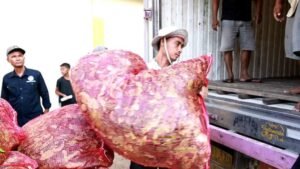 Daun Jeruk Purut, Dulu Sulit Pemasaran, Kini Dikirim ke Jawa