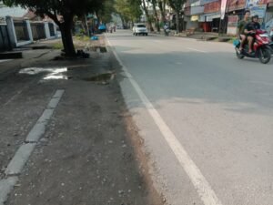 Cuaca di Kota Padang Mulai Cerah, Nyamuk Banyak Ganggu Tidur