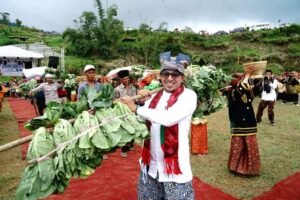 Pesona Budaya Nagari Singgalang Sukses, Dihadiri 5.000 Pengunjung
