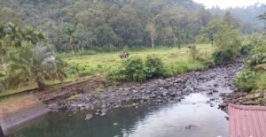 Air Bd. Usang dan Bd. Baru Susut, Camat Lb Basung Sudah Laporkan