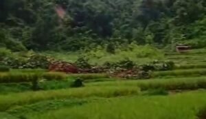 Longsor di Koto Rantang Kecamatan Palupuh Makan Korban