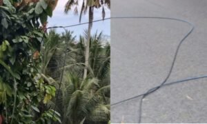 Diduga Atas Kelalaian Petugas Telkom, Syafruddin Jadi Korban Kecelakaan