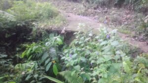Kondisi Jalan Ujuang Pematang Rusak Parah, Kadis PUPR Janji Perbaiki 2024