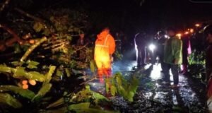 Longsor di Bukik Apik Matur, Akses Jalan Terputus