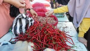 Stabilkan Harga, Pemda Tanah Datar Gelar Pasar Murah di Hari Balai Kamis