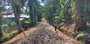 Pengusaha Kecil Bawan Berharap Keberpihakan Pemerintahan Nagari