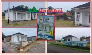 Diprediksi Program Swasembada Beras Tidak Sukses di Kabupaten Agam