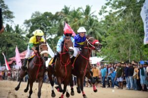 Pacu Kuda Padang Pariaman Mampu Mengangkat  Perekonomian Masyarakat