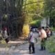 Bersih Lingkungan KBLK Kelurahan Kayu Kubu Gg. Panjang Dukung GSM To Unesco