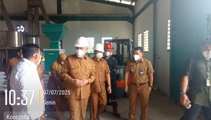 Didampingi Bupati Pasaman, Gubernur Tinjau Pabrik Pakan Ikan Beringin Rao