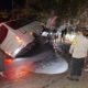 Bus Wisata Kecelakaan di Kelok 16, Buntut Tersungging, Akses Jalan Terganggu