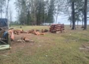 Kadis Parpora Agam Tidak Serius Urus Objek Wisata Bandar Mutiara