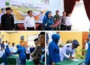 Secara Maraton, Ketua TP-PKK Padang Pariaman Lantik Ketua TP-PKK Kecamatan
