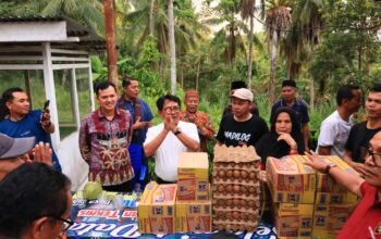 Bupati dan Wakil Bupati Pd. Pariaman, Kembali Tinjau 19 Titik Bencana Sikucur