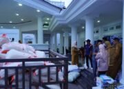 Pd. Pariaman Pastikan Distribusi Bantuan Tepat Sasaran dan Tanpa Penundaan