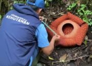 Tim Hiking Gembira Susuri Hutan Cagar Alam Batang Palupuh, Kabupaten Agam