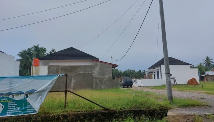 Lahan Sawah Berpengairan Tetap di Kabupaten Agam Alih Fungsi, Dibiarkan?