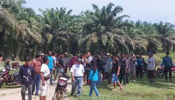 Kelompok Masyarakat Plasma Bawan Tergusur, Bentrok dengan Pembela Plasma Ninik Mamak Bawan