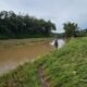 Sungai Batang Sandir Meluap, Tanaman Padi Rusak, Pipa Pamsimas Putus