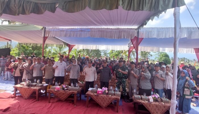 Wabup Pasaman Parulian, Hadiri Tanam Serempak Nasional Koto Kaciak, Agam