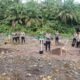 Kegiatan Sejuk Asri, Polres Pasaman Barat Tanam Pohon di DAS Batang Toman